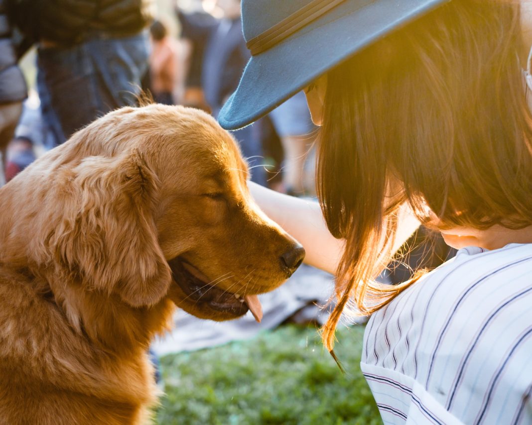 adam-griffith-sWkkIiTJMYc-unsplash-min Can pets spread the coronavirus?