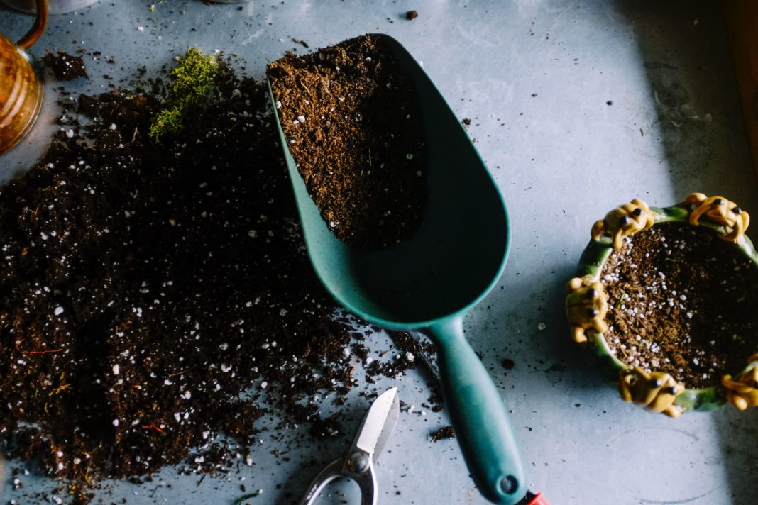 neslihan-gunaydin-BduDcrySLKM-unsplash-min is gardening vegan?