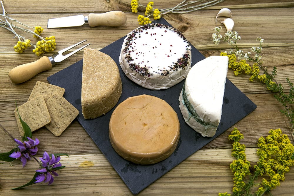 vegan cheese