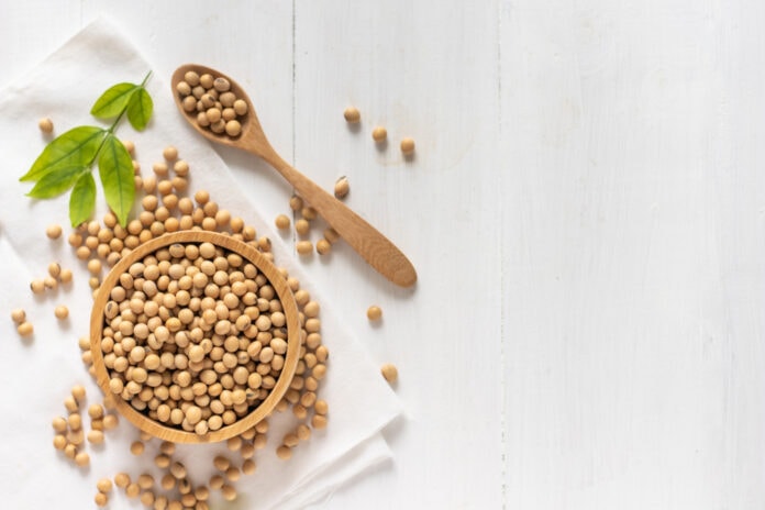 soy effects