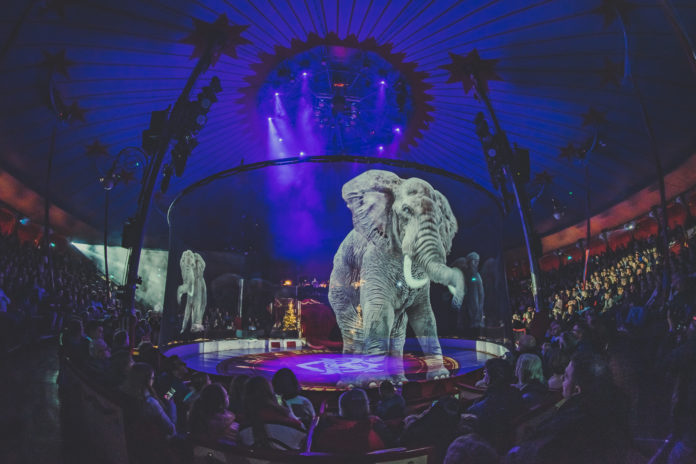 circus animals