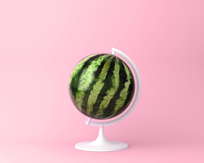 veganism and minimalism