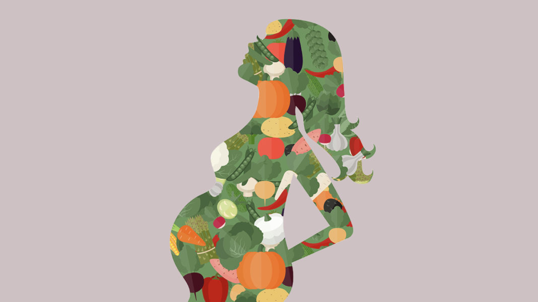 vegan pregnancy