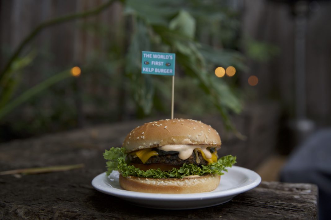 honeybee burger