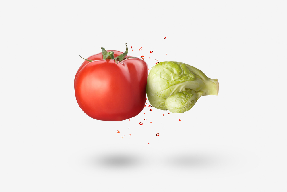 vegan vs plant based